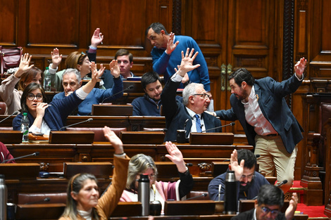 Media sanción en Uruguay para el proyecto que legaliza la eutanasia