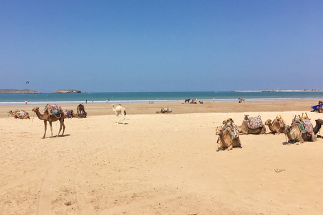 Reencuentro en Essaouira