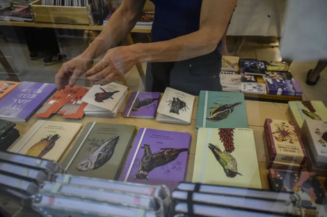 La cultura se reúne en Carmen de Patagones