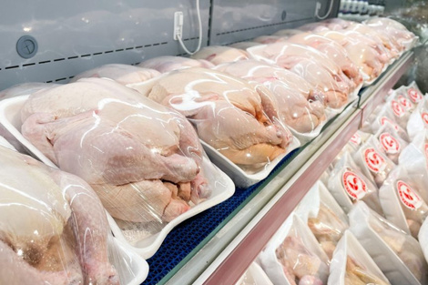 No habrá exportaciones de productos avícolas