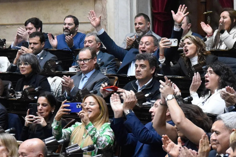 Los diputados salteños marcaron la grieta en torno a los vetos de Javier Milei