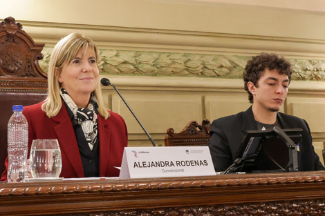 La comisión de Declaraciones, Derechos y Garantías la preside Alejandra Rodenas.