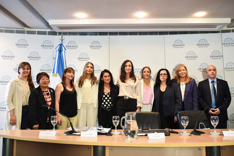 Convocatoria realizada el 7 de noviembre de 2024 por la vicepresidenta: "Seminario II: Género e identidad: El problema de la sexualización infantil".