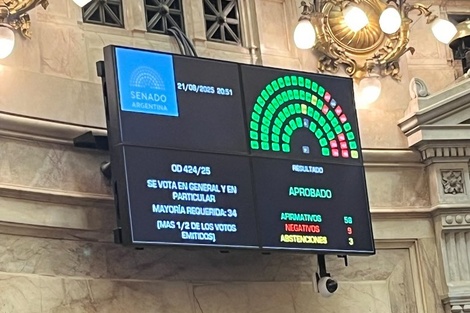 Los senadores salteños dividieron posturas en la megasesión que marcó límites a Milei
