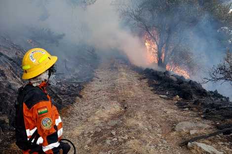 Bolivia declara la “Situación de Emergencia Nacional” por los incendios