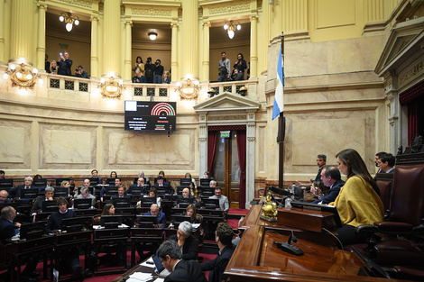 "Los que vinieron a limpiar la política son peores que los anteriores": duras críticas de un senador radical