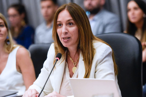 Aunque critica al gobierno, Vidal los ayuda en el Congreso. (Fuente: Archivo)
