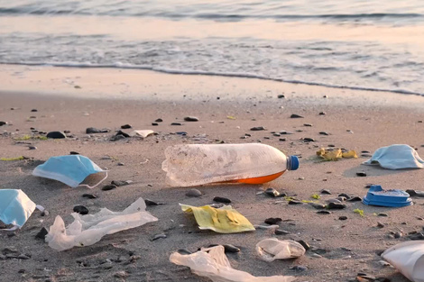Detectan por primera vez microplásticos en el zooplancton marino de América Latina