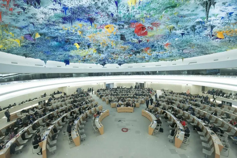 Amnistía Internacional objetó que Argentina se retire del Consejo de Derechos Humanos de la ONU