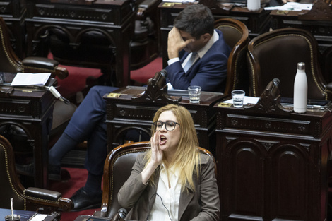 Lilia Lemoine protagonizó un nuevo bochorno en el Congreso