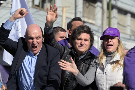 El escándalo de la ANDIS que complica la campaña libertaria 