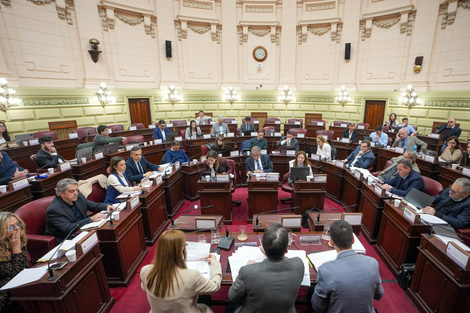 La Comisión Redactora de la futura Carta Magna, introdujo los cambios. (Fuente: Gentileza)