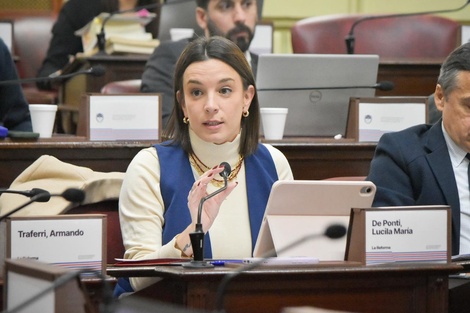La convencional constituyente Lucila de Ponti. (Fuente: Gentileza)