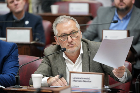 Convencional constituyente Marcelo Lewandowski. (Fuente: Gentileza)