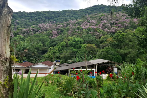 Quilombo São Pedro