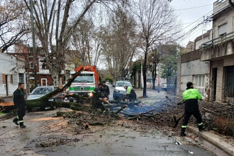 En Rosario trabajaron 300 operarios. (Fuente: Prensa Municipalidad Rosario)