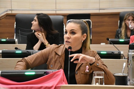 “Deben contar con normativas claras que no se redacten como trajes a medida para ciertos desarrolladores inmobiliarios”