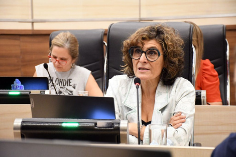 La concejala Norma López es referenta del Observatorio de Violencias.  (Fuente: Gentileza)