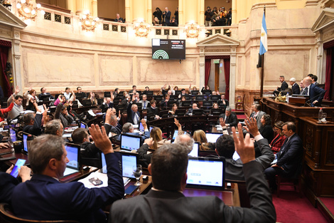 La Emergencia en Discapacidad volvió a ser ley con 63 votos a favor y 7 en contra. 
