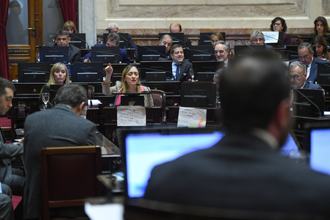 El Senado le dio media sanción al proyecto que modifica la legislación de los DNU