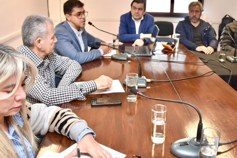 Senadora de Anta presentó un proyecto de emergencia sanitaria