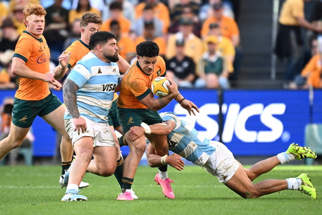 Los Pumas podrían ganar el Rugby Championship en territorio inglés