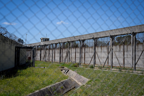 "En 2024 fallecieron 286 personas privadas de su libertad en cárceles"