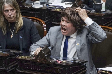 El clima ya estaba caldeado, pero el diputado nacional de Unión por la Patria, Aldo Leiva, decidió agregarle una cuota de teatro al debate sobre la Emergencia Pediátrica