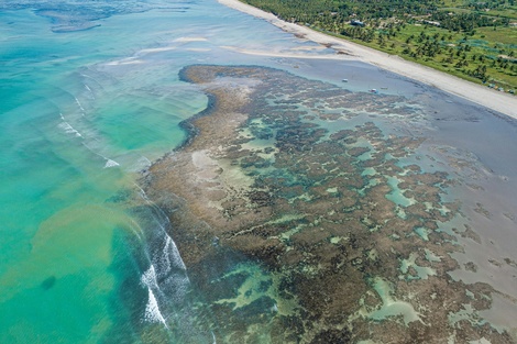 El cambio climático amenaza los arrecifes de coral en Brasil