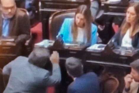 ¿Cómo se gestó la pelea en el bloque del PRO en Diputados?