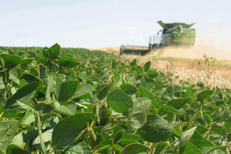Fin de las retenciones al agro