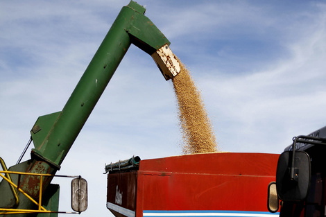 Las cerealeras ya liquidaron los 7.000 millones de dólares.