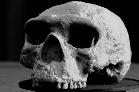 La reconstrucción de un cráneo que cambiaría la historia. 