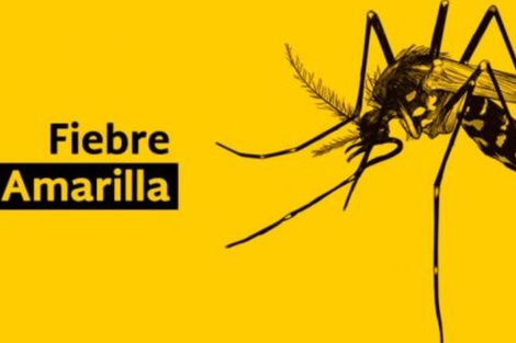 Preocupa el riesgo de reingreso de la fiebre amarilla