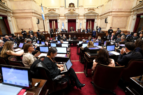 false (Fuente: Prensa Senado)