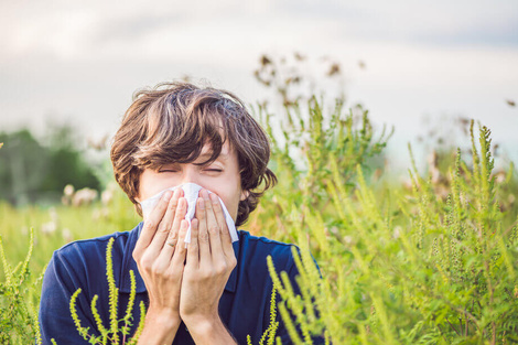 El estornudo al despertar es el síntoma más común, aunque la rinitis puede vincularse a otras patologías como conjuntivitis alérgica, broncoespasmos y asma