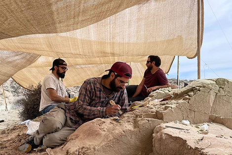 Hallazgo del Conicet: encontraron restos fósiles de dinosaurio de hace 70 millones de años