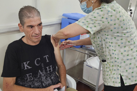 Fiebre amarilla: crece la preocupación frente a una posible epidemia en Argentina