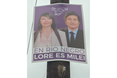 Tapa del suplemento