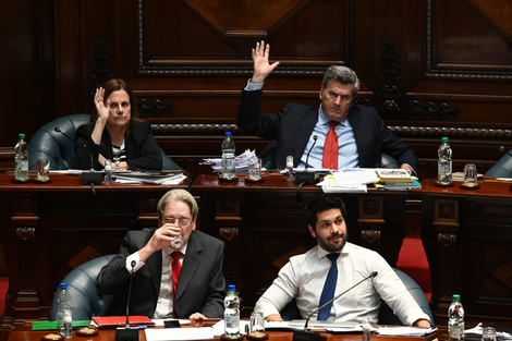Las claves de la ley de eutanasia que se aprobó en Uruguay