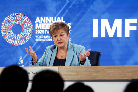 "Aún hay apoyo bastante fuerte en Argentina" al plan de ajuste, opinó (Fuente: EFE)
