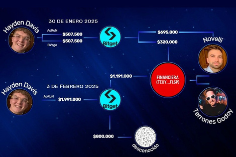 En el gráfico presentado ante la Justicia se ven los destinos de las transferencias de Davis.