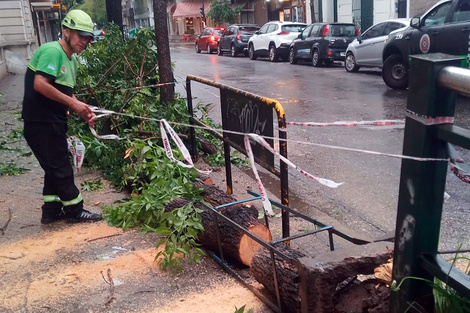 Personal de Emergencia retira ramas caidas. (Fuente: Prensa Municipalidad Rosario)