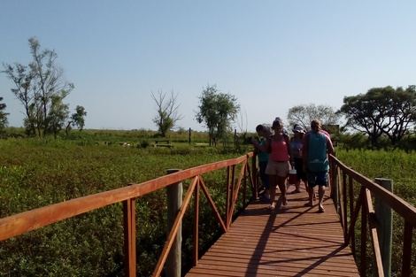 La amplia zona de islas donadas por Deliot y usurpadas hace años.