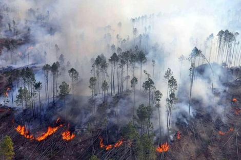 Paraguay logró extinguir un gran incendio cerca de la frontera con Bolivia