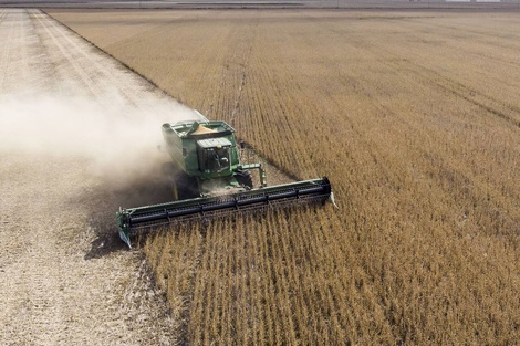 Menos dólares por exportaciones