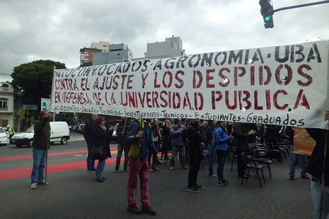 La Facultad de Agronomía de la UBA perdió al 15% de sus docentes durante el gobierno de Milei