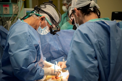 Los profesionales del Hospital Garrahan realizaron cuatro trasplantes en 34 horas