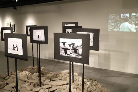 Bajo la luz de la luna