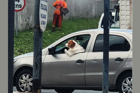 Desregulación vial, por @pablofumagalli.